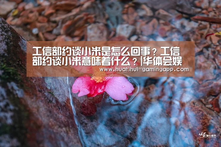 华体会娱乐APP