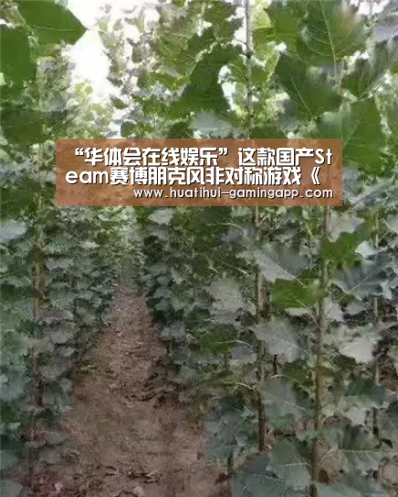 “华体会在线娱乐”这款国产Steam赛博朋克风非对称游戏《黄金列车》要推出手游了(图3) 华体会娱乐
