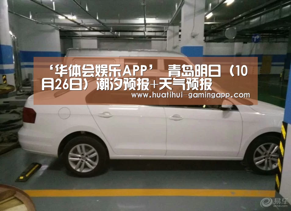 华体会娱乐