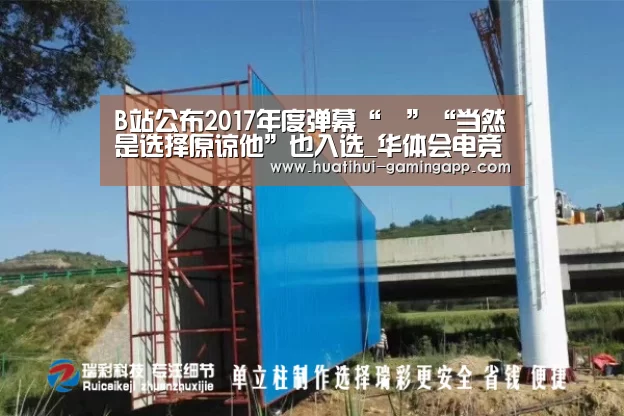 B站公布2017年度弹幕“囍”“当然是选择原谅他”也入选_华体会电竞赛事直播(图3) 华体会娱乐APP
